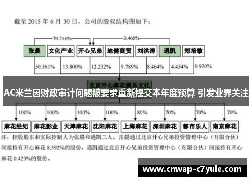 AC米兰因财政审计问题被要求重新提交本年度预算 引发业界关注