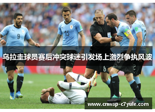乌拉圭球员赛后冲突球迷引发场上激烈争执风波